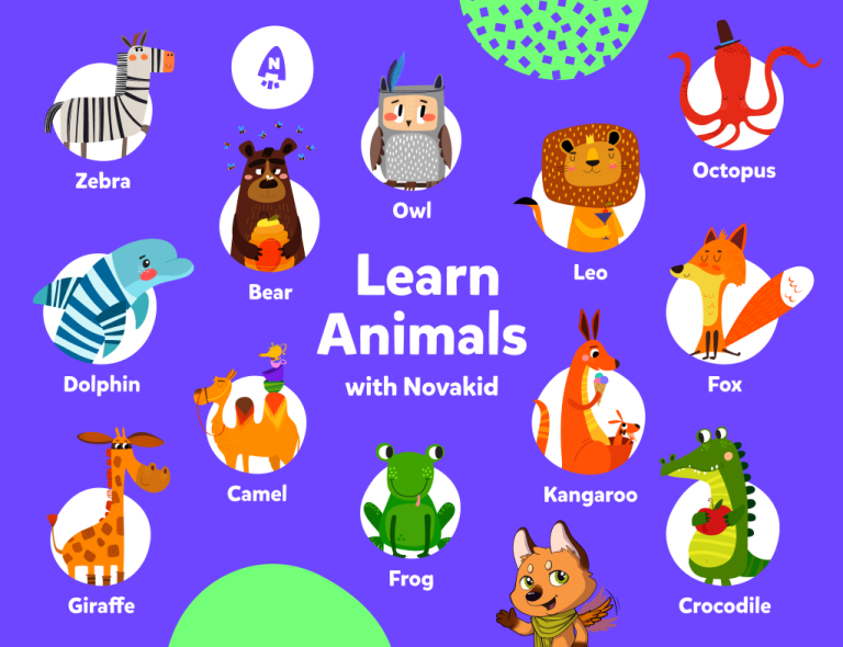 Grafica di animali con descrizione realizzata da Novakid