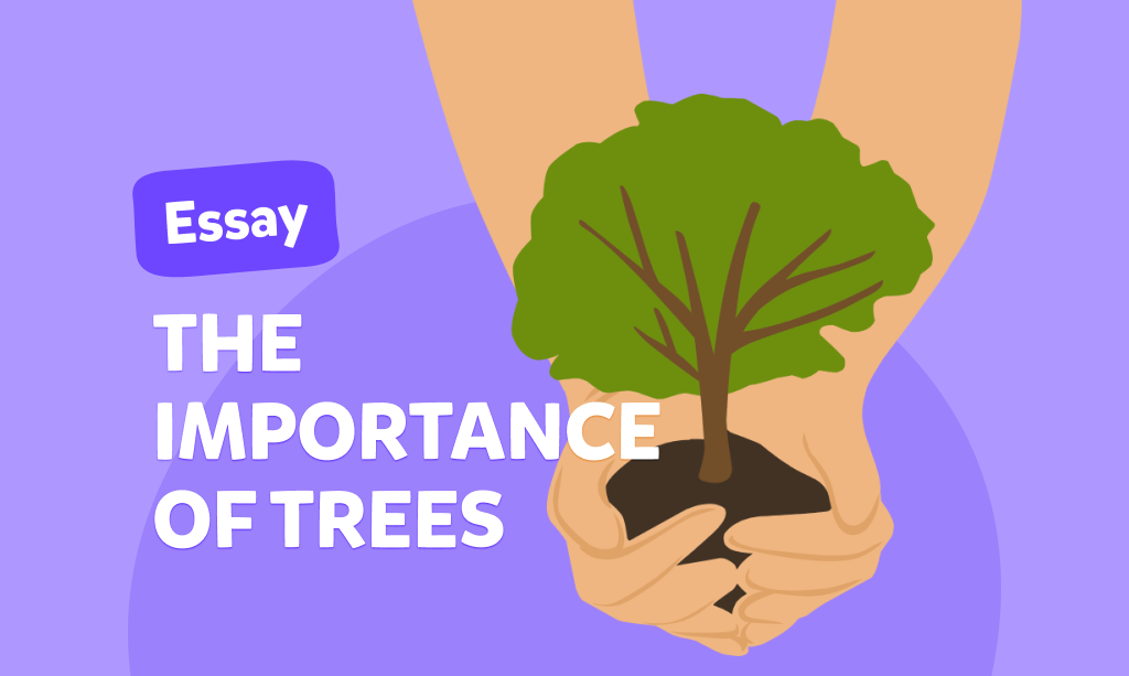 Essay “The importance of trees”, esempio di tema in inglese sull’ambiente  
