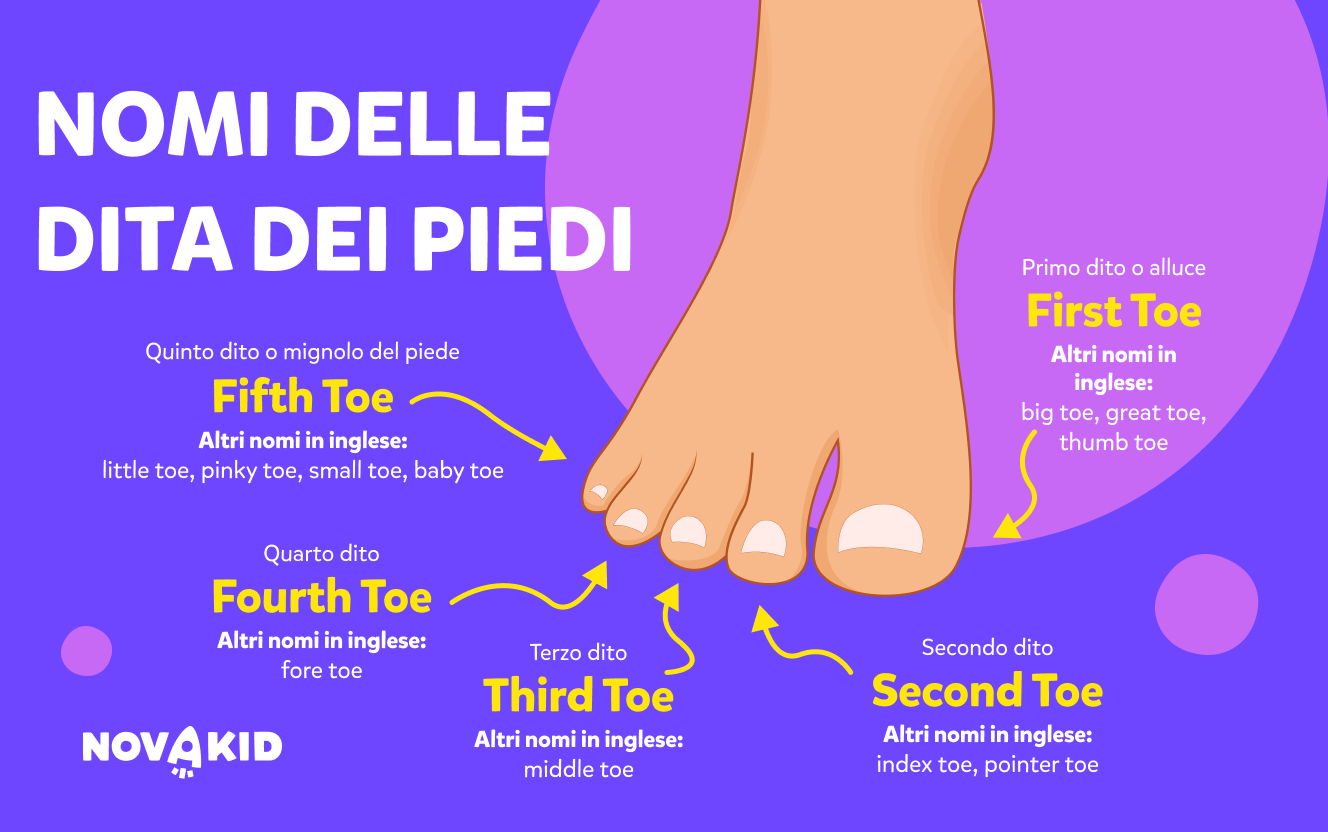 Nomi delle dita dei piedi, in inglese e in italiano, infografiche Alt tag: Immagine di un piede, dita dei piedi, con i nomi di ogni dito in italiano e in inglese, Novakid